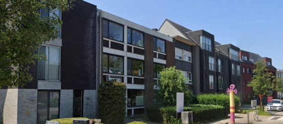 GOOGLE MAPS - Dol-Fijn Geel